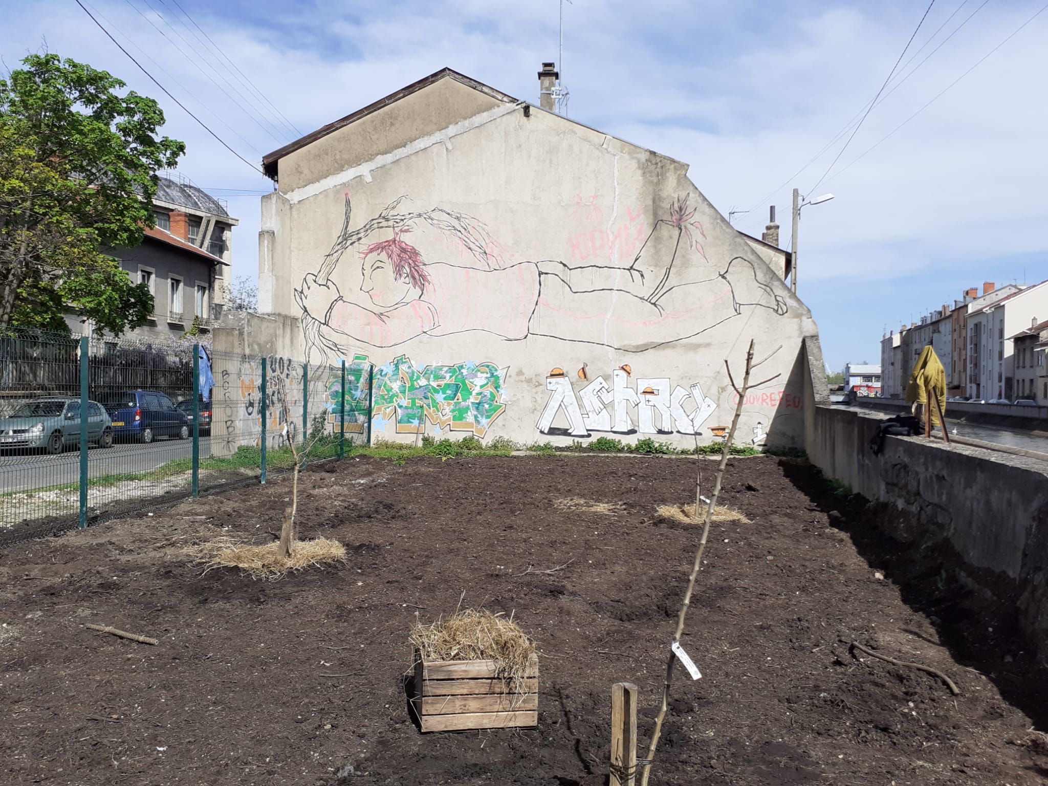 Les premières plantations de la ZAC de La Saulaie