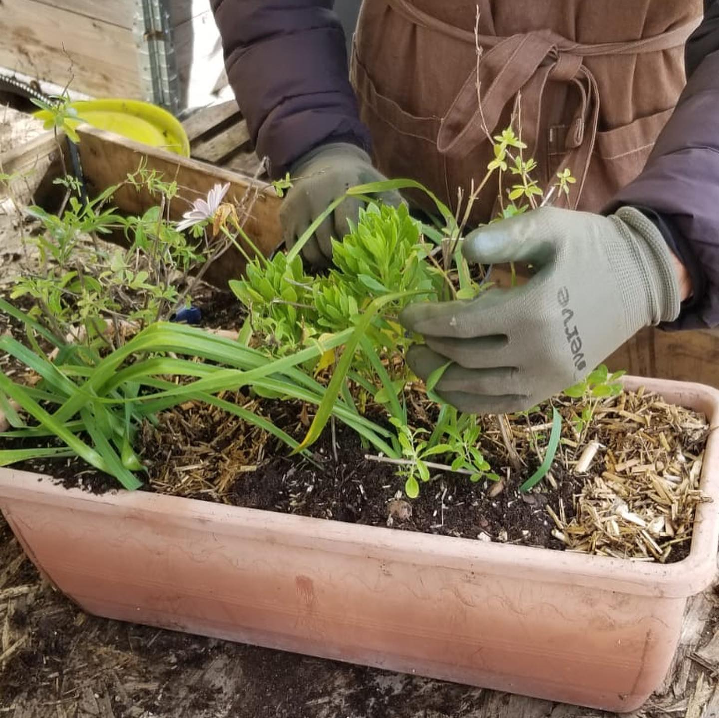 La Fête du Printemps revient le 15 mars prochain !